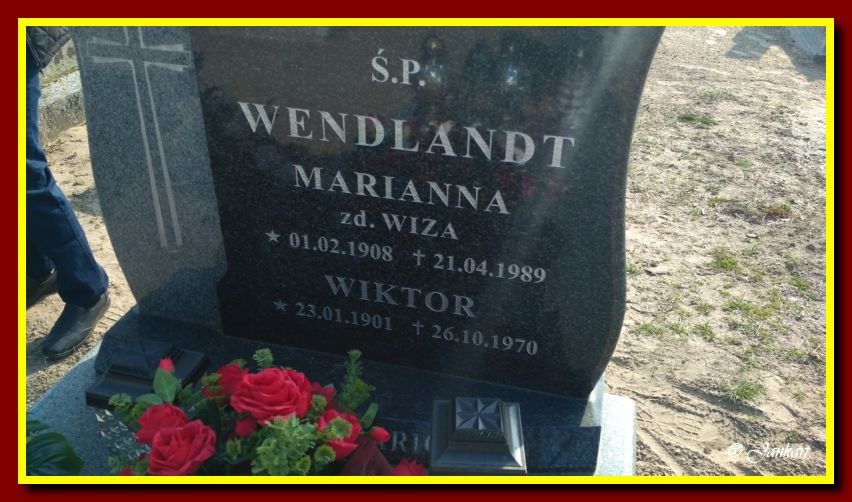 Wendlandt M.W.